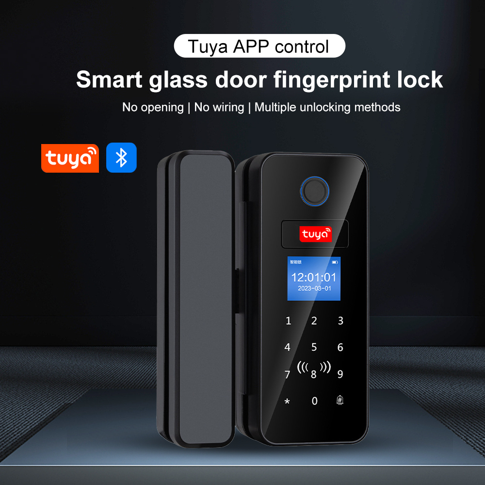قفل باب زجاجي ذكي بخطاف مزدوج، - مراجعة Smart Garden Gate Lock وسعره