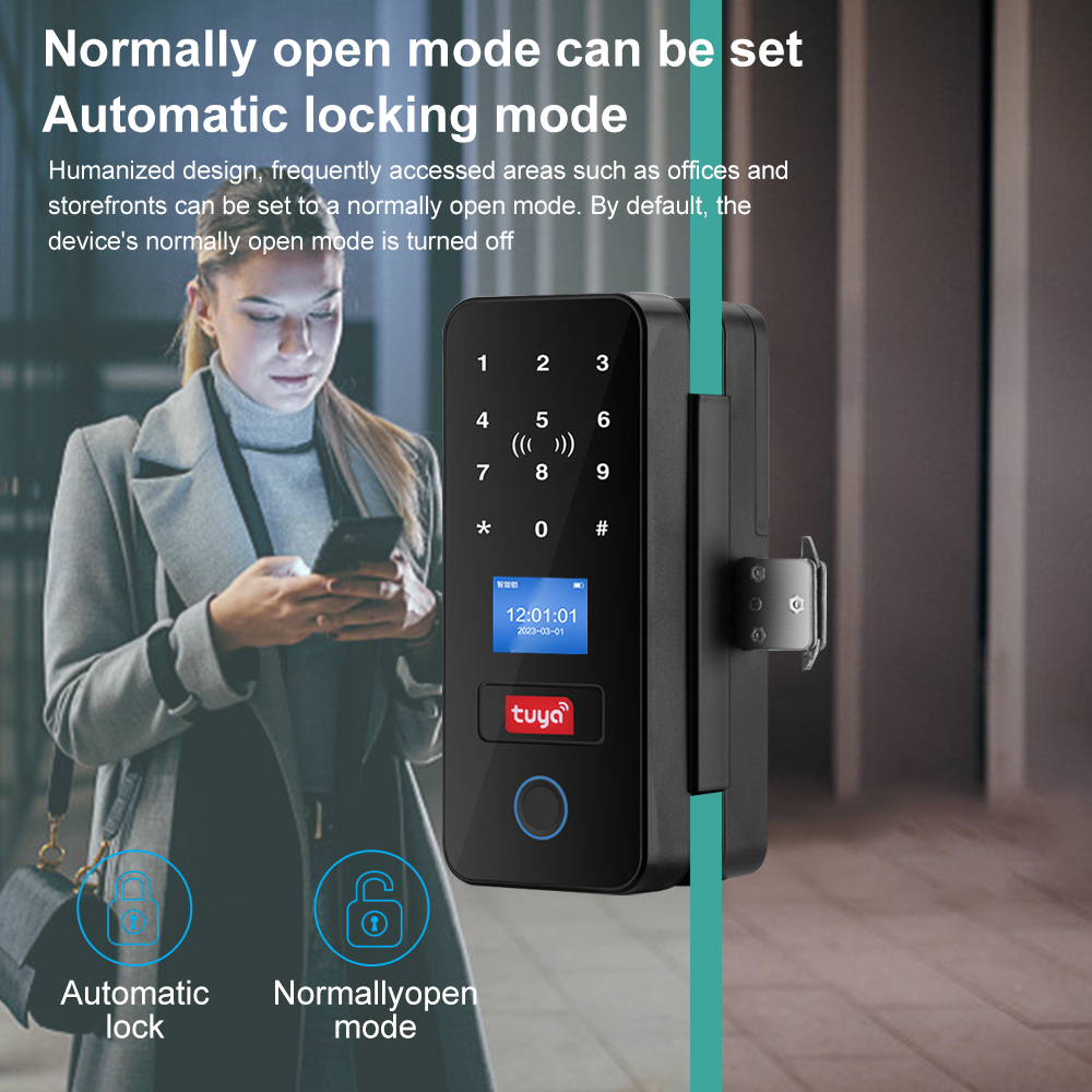 قفل باب زجاجي ذكي بخطاف مزدوج، - مراجعة Smart Garden Gate Lock وسعره