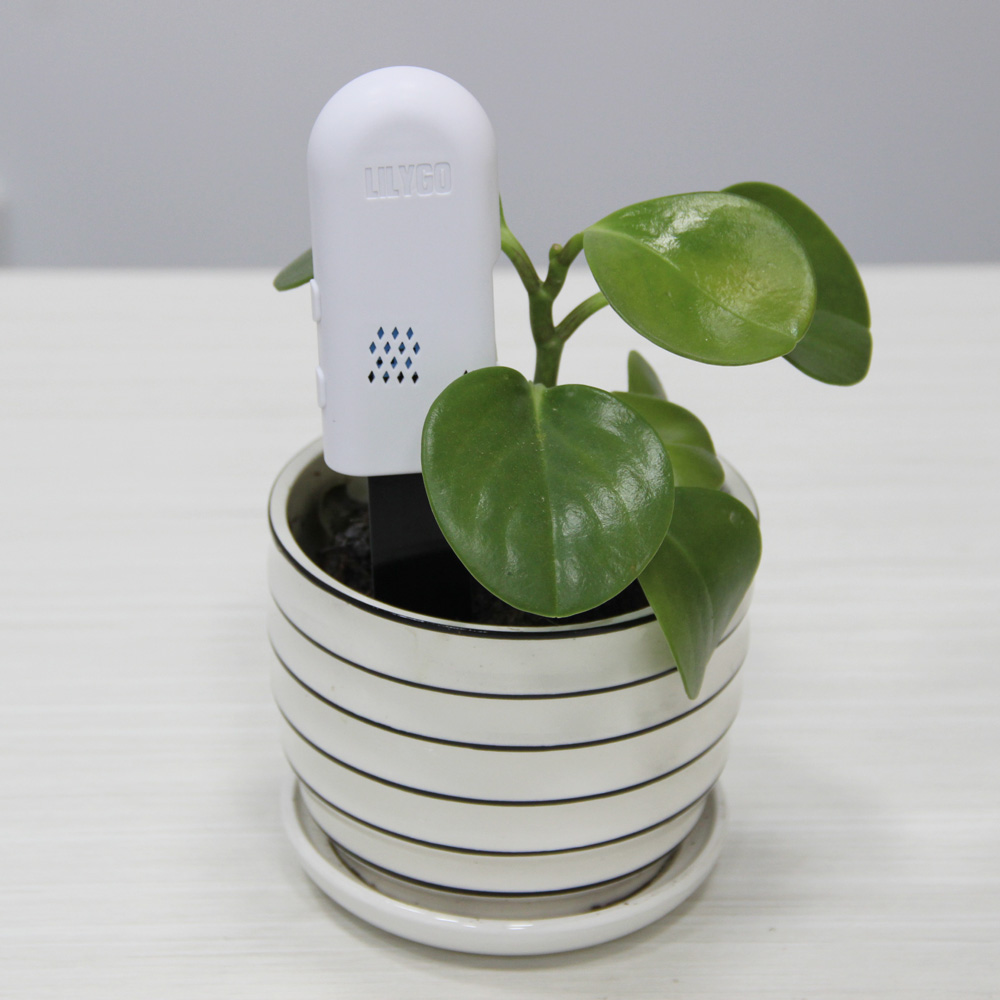 LILYGO® T-Higrow ESP32 Soil Te - مراجعة Smart Garden Esp32 وسعره